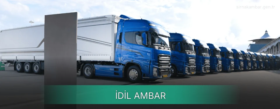 İdil Ambar