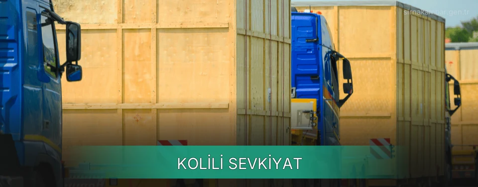 Şırnak Kolili Sevkiyat Ambar Firmaları