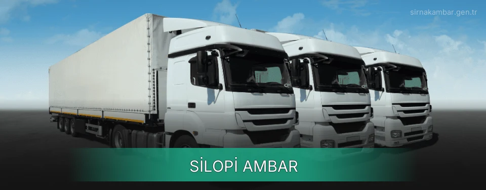 Silopi Ambar
